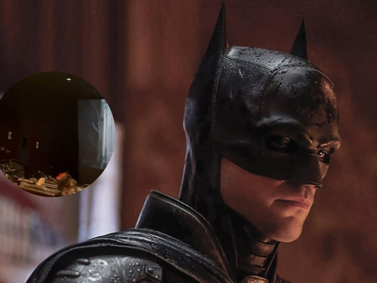 Viral | The Batman: Video muestra a murciélagos volando mientras se  proyecta película en sala de cine | Tendencias | Robert Pattinson | Batman  | Twitter | The Batman trailer | Redes