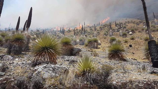 Incendios forestales en la Amazonía y en Áncash afectarán nevados. (Foto: Cortesía COER)