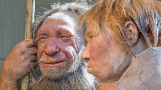 Vinculan la depresión con genes heredados de los neandertales