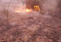 Lambayeque: reportan incendio en el santuario histórico bosque de Pómac