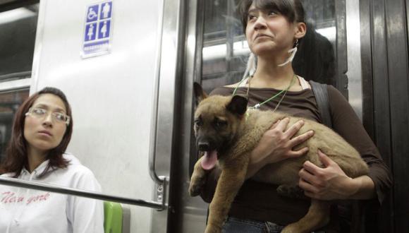 Metrobús de CdMx: ¿puedo subir a mi perro?. (Foto: Créditos: Cuartoscuro)