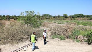 Piura: La Niña costera afectó más de 30 mil hectáreas de cultivos