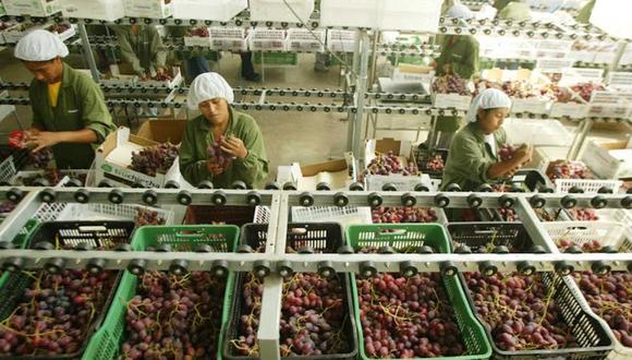 Según ADEX, las agroexportaciones peruanas mostraron crecimiento de 8,7% en primer trimestre del año 2024 | Foto: Difusión / ADEX