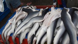 Tres de cada cuatro peruanos comen tiburón sin saberlo