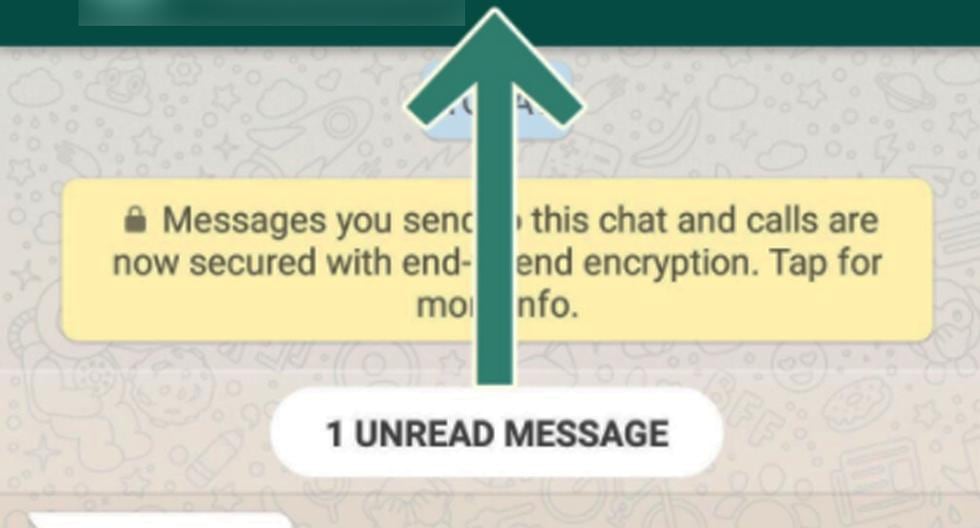 ¿Ya viste el extraño círculo verde que sale al lado de tu nombre en WhatsApp? Entérate de qué se trata. (Foto: Captura)