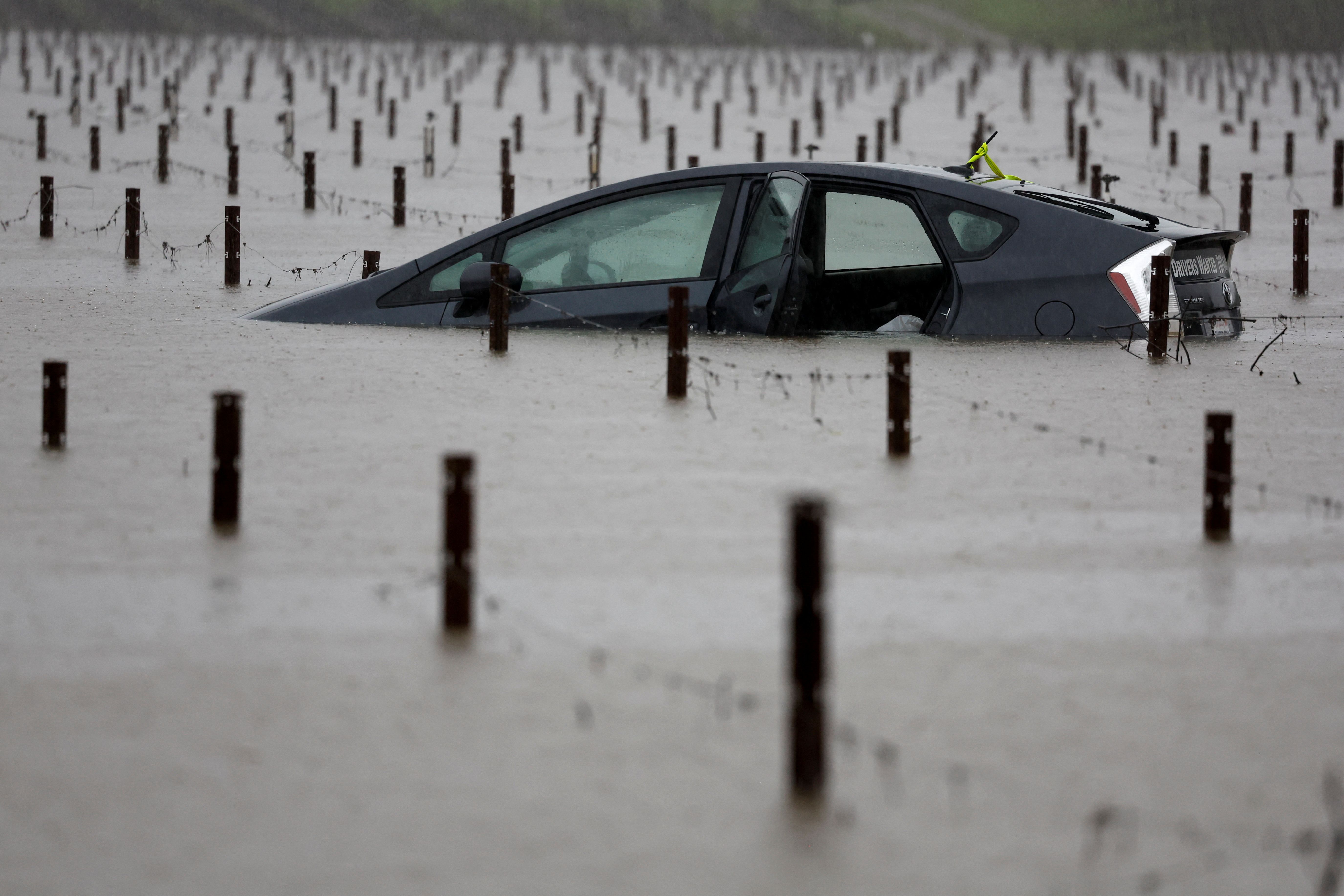 A submerged car is seen in flood waters near a vineyard in Forestville, California, USA.