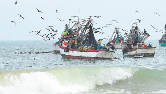 Piden a este gobierno crear la reserva mar Pacífico tropical