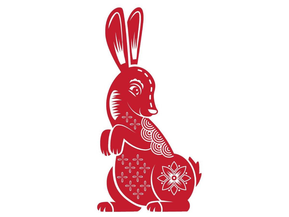 Por qué el Conejo de Agua representa el Año Nuevo Chino 2023? - Grupo  Milenio