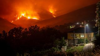 Ola de calor en España: al menos 360 muertos y más de 3.000 personas evacuadas por incendios forestales 