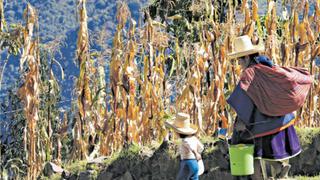 El menor índice de progreso social se registra en la selva