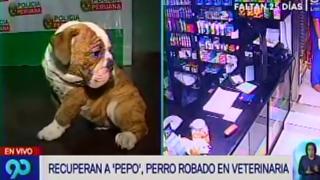 Policía recupera a perro robado durante asalto a veterinaria de SJL