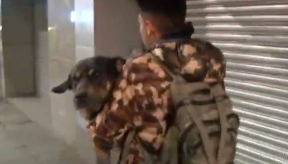 Este pobre perro estuvo a punto de morir asfixiado pero un muchacho lo salvó de las bombas lacrimógenas que caían en Bolivia. (Facebook y YouTube Viral)