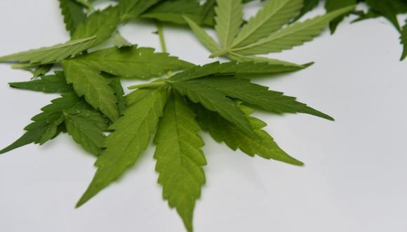 Estudian el uso de marihuana en niños con epilepsia severa