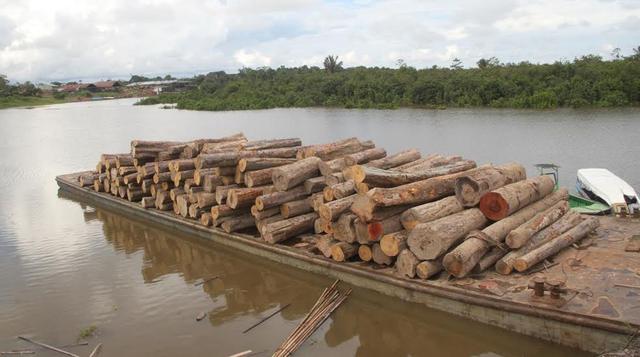 Madera ilegal incautada a orillas de río en Loreto [Fotos] - 1