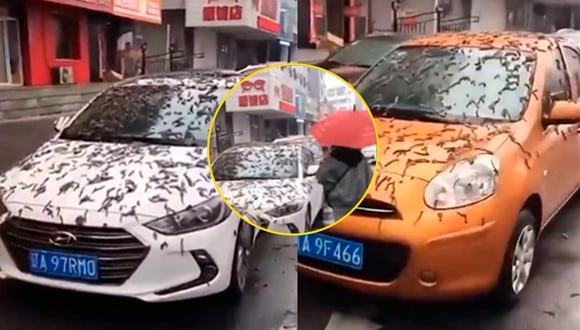 Ciudadanos chinos tuvieron que ir a sus trabajos en paraguas y así evitar que los gusanos los invadan (Foto: @SVElClarin - Twitter / Composición EGC)