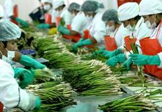 Perú: agroexportaciones generarán 750 mil nuevos empleos en 10 años