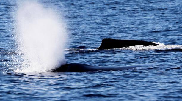 (Foto: xinhua/referencial) 