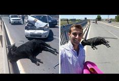 España: Este selfie de un torero causa gran indignación