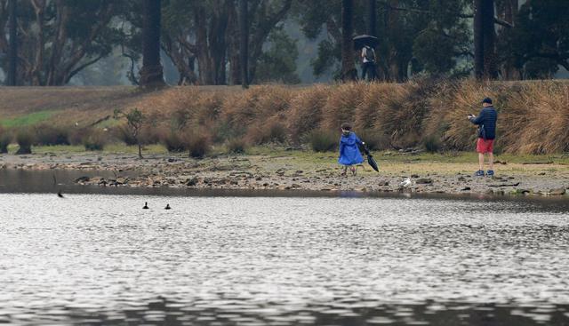 Por segundo día consecutivo, cayeron este viernes fuertes precipitaciones en Australia, dando un respiro a los exhaustos bomberos que luchan contra los incendios que han devastado el sudeste del país. (Foto: EFE)