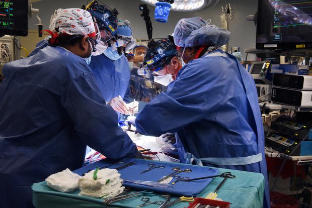 Surgery image.  (UNIVERSITY OF MARYLAND SCHOOL OF MEDICINE / AFP) 