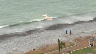 Miraflores: restos de una ballena aparecieron en playa Redondo