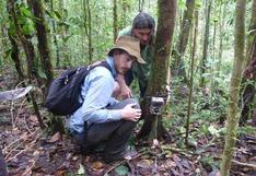 Descubren nuevas especies de mamíferos en Papúa Nueva Guinea