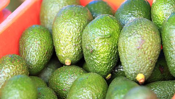 Palta Hass peruana entraría al mercado chino en setiembre