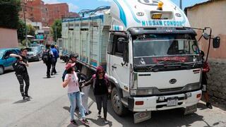 Activistas dan cariño a vacas y toros antes de entrar al matadero