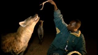 Etiopía: Conoce a los hombres que alimentan y abrazan a las hienas salvajes [VIDEO]
