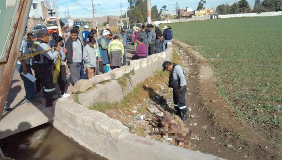 Extraña muerte de animales atemoriza a pobladores de Arequipa