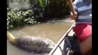 Una aterradora anaconda gigante en la selva de Brasil [VIDEO]