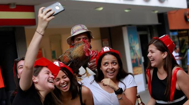 Paquito, el famoso gallo que pasea por las calles de Costa Rica - 17