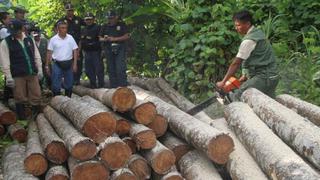 Pacaya Samiria fue escenario de operación contra tala ilegal