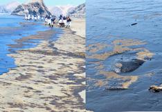 Alcalde de Santa Rosa exige a Repsol retirar el petróleo de sus playas