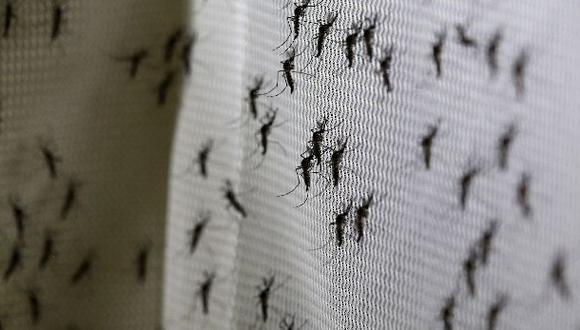 El zika podría causar infertilidad en hombres