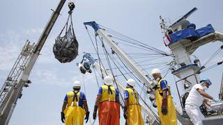 Produce: nueva tasa para pesca de anchoveta permitirá recaudar S/90 mlls. anuales