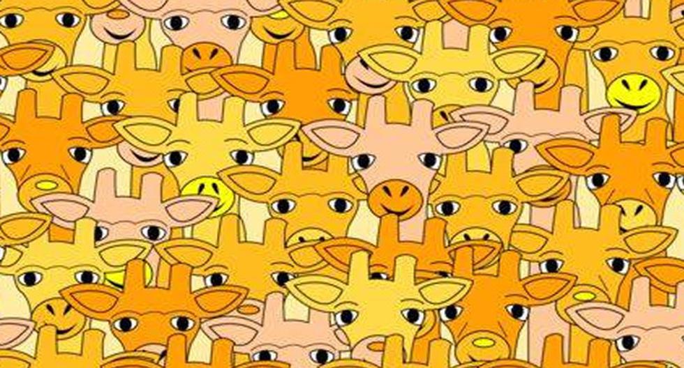 Este difícil reto viral ha frustrado a miles de usuarios de Facebook que no pueden hallar al maestro Yoda en este grupo de jirafas. ¿Podrás tú? (Foto: Captura)