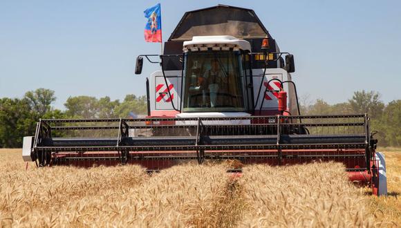 Demanda de exportación de trigo de la Unión Europea aumentó esta semana. (Foto: AFP)