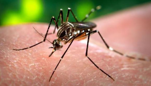 Confirman 38 casos de dengue en Lambayeque