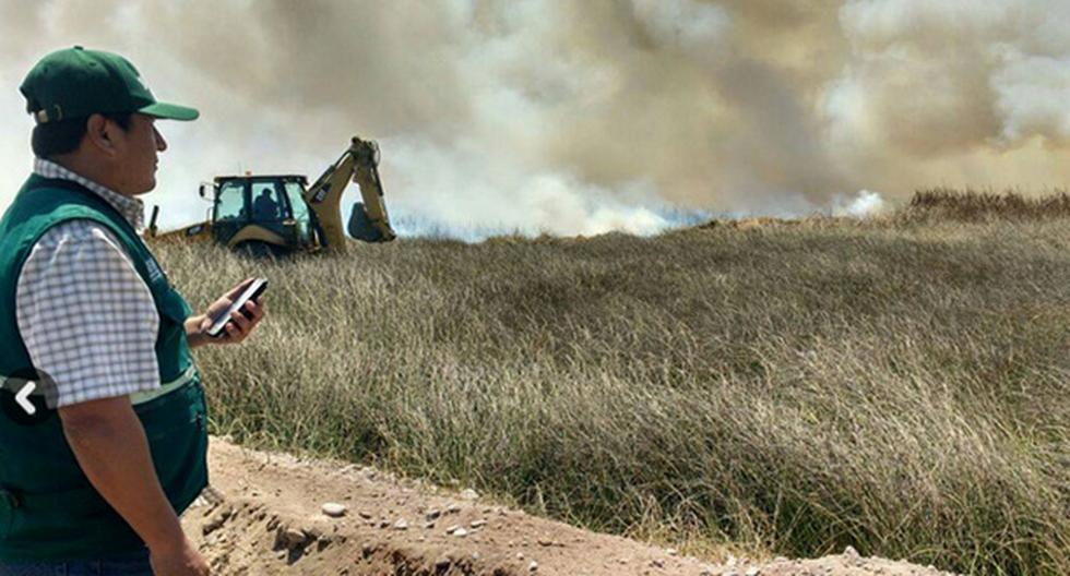 Incendio forestal causó estragos en humedales de Ite, en Tacna. (Foto: Serfor)