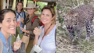 Katia Condos, Almendra Gomelsky y Gianella Neyra pasan el susto de sus vidas durante un safari | VIDEO