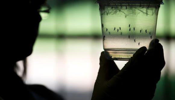EE.UU. confirma relación directa entre el zika y microcefalia