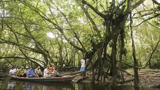 Cinco rutas fascinantes para caminatas largas en la selva | FOTOS