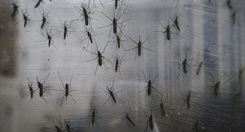 Ministerio de Salud confirma cuarto caso importado de zika en el Perú. (Foto: Getty Images)