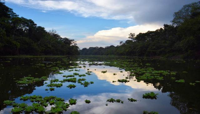 La layuna Moyuna de Iquitos es el destino de aventura que no te puedes perder. En una excursión a la layuna Moyuna podrás disfrutar de la puesta del sol en el lago Sapote, observar aves, navegar en canoa por el lago Juanachi, descubrir las plantas exóticas y los animales de la selva peruana y hacer senderismo. Foto: Instagram: @marcvilla11