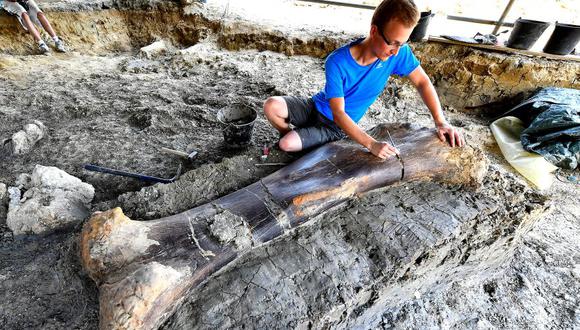 Los científicos están maravillados con la gran preservación del fémur. (Foto: AFP)