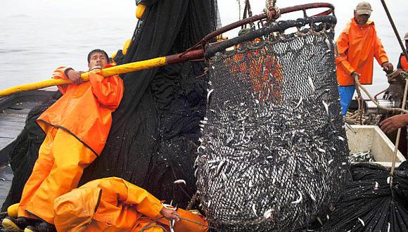 Imarpe recomendó mantener suspendida la pesca de anchoveta
