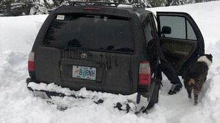 Sobrevive 5 días varado en la nieve comiendo sobres de salsa picante