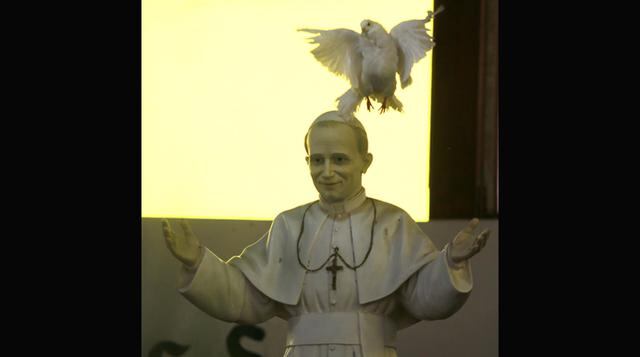 Paloma blanca sorprendió durante misa por Juan Pablo II - 1