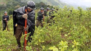 Alto Huallaga: acuerdan acatar paro el  28 de marzo para pedir que cese erradicación de hoja de coca